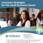 Insurance Strategies for the Small Business Owner